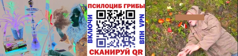 Купить  Урень  Псилоцибиновые грибы Magic Shrooms 