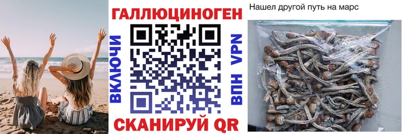 Галлюциногенные грибы мухоморы Урень