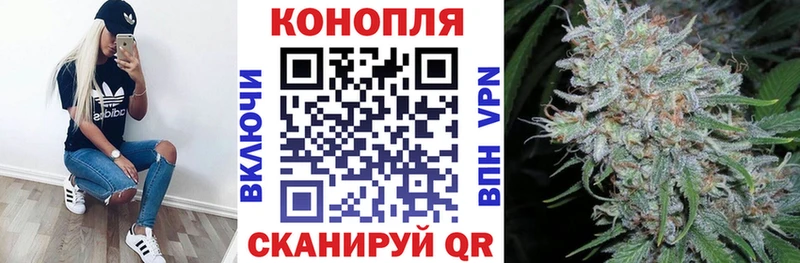 Шишки марихуана Bruce Banner  Купить где  Урень 